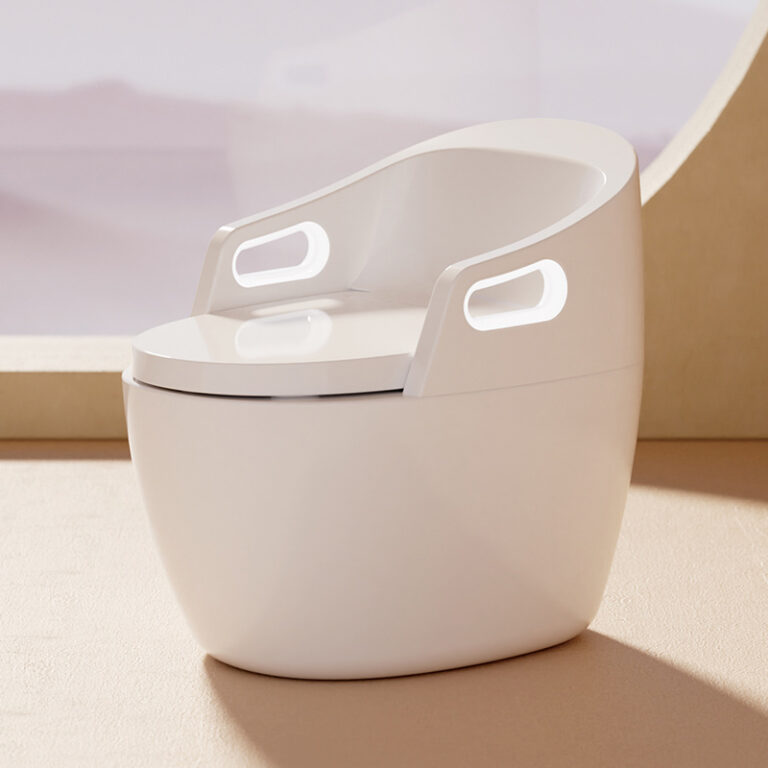 AF01 Aging Friendly Smart Toilet