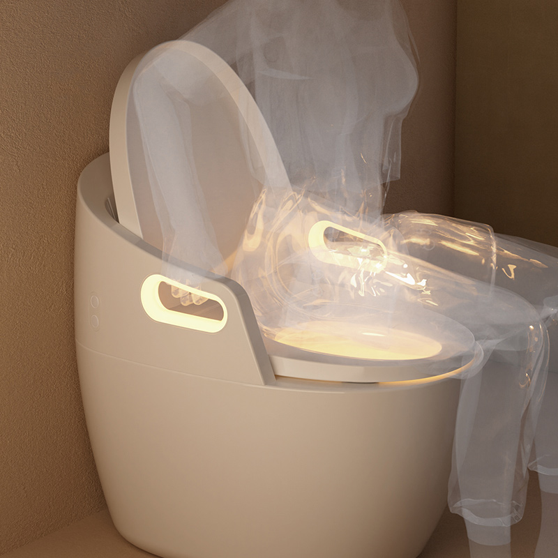 AF01 Aging Friendly Smart Toilet