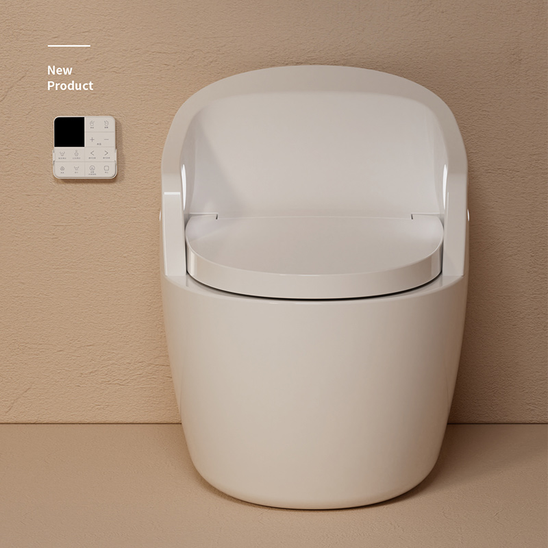 AF01 Aging Friendly Smart Toilet