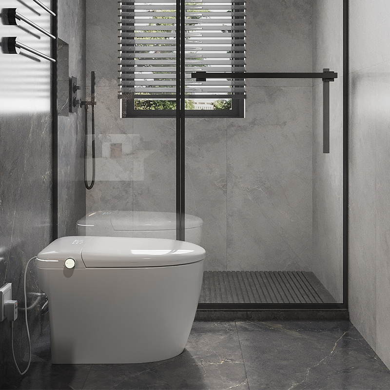 EUS01 Built-in Tank Smart Toilet