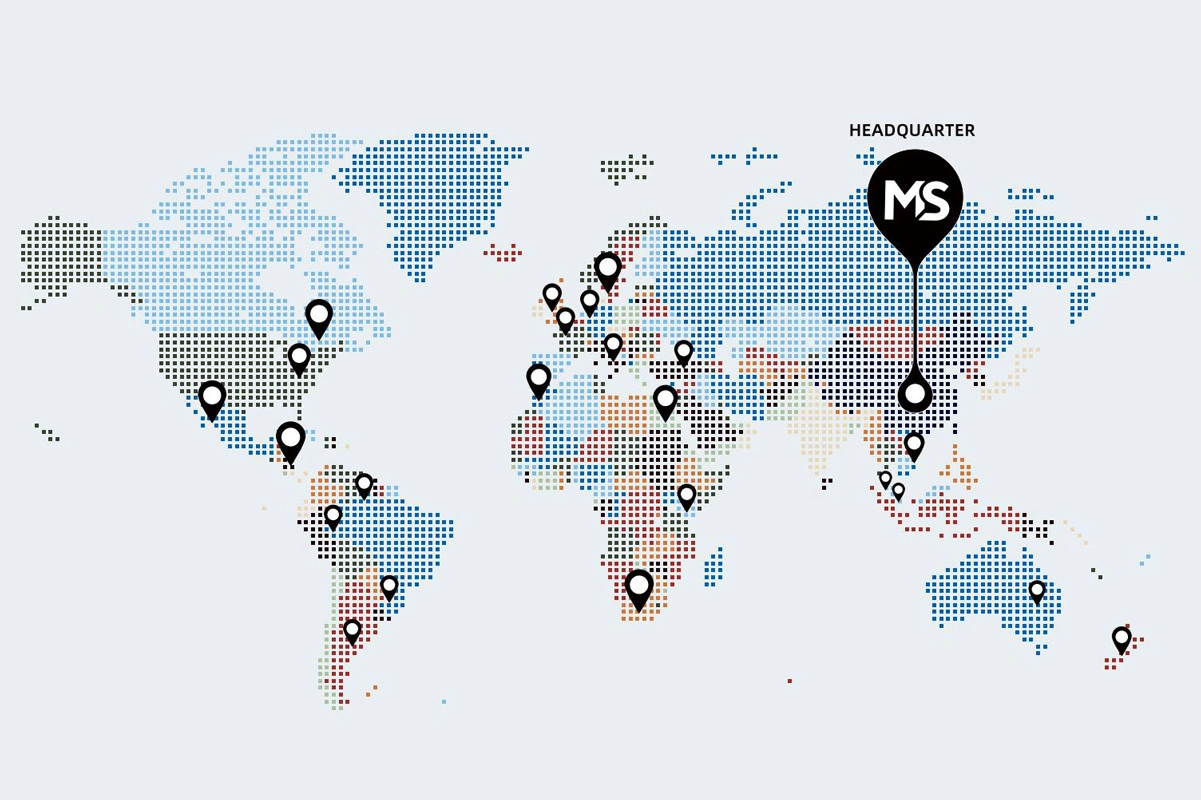Soporte de distribución global