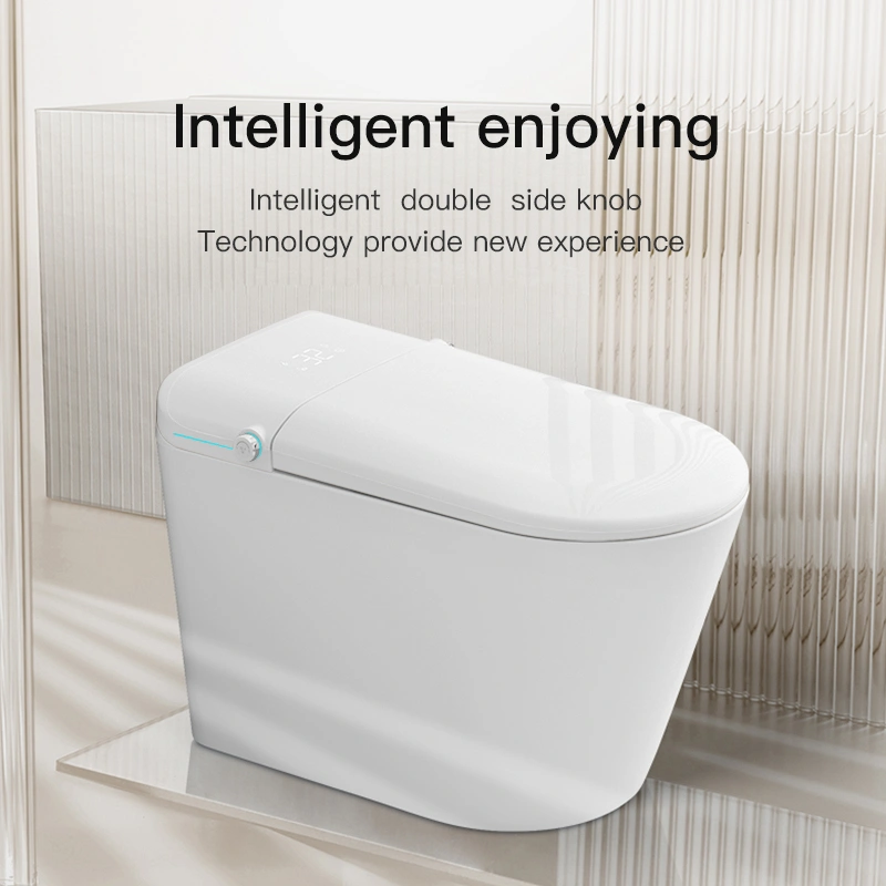 NAS01 Built-in Tank Smart Toilet