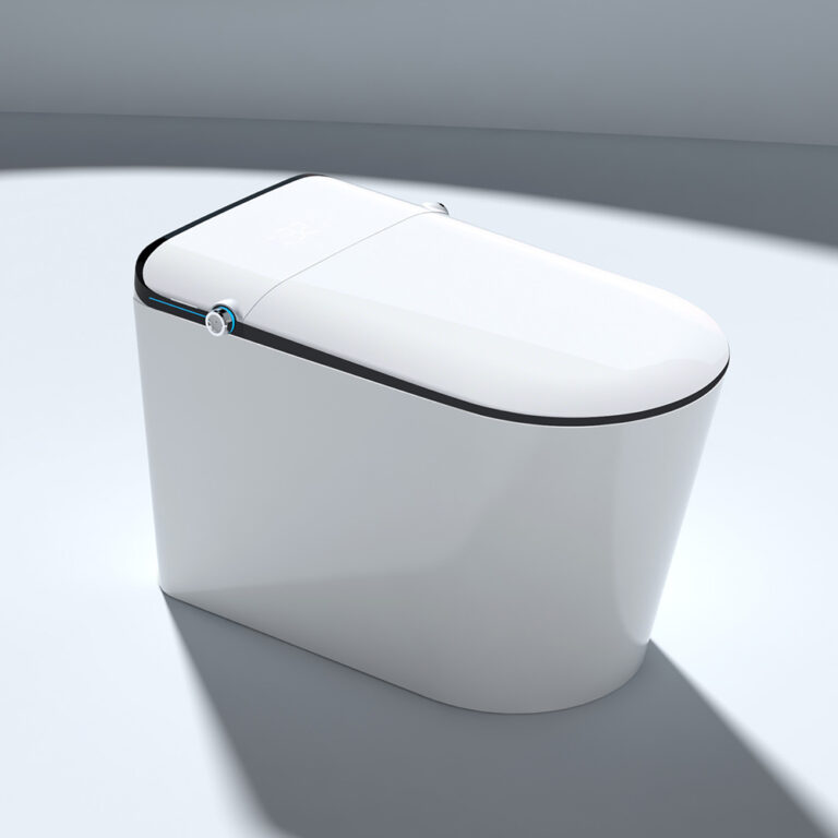 NAS01 One Piece Smart Bidet Toilet Built in Tank