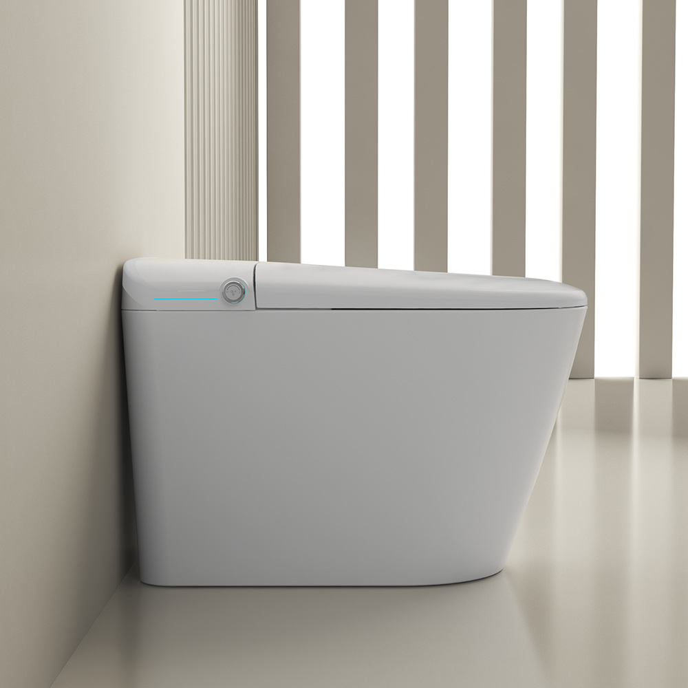 NAS01 One Piece Smart Bidet Toilet Built in Tank
