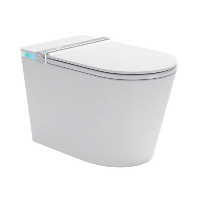 NAS02 One Piece Built in Tank Smart Toilet