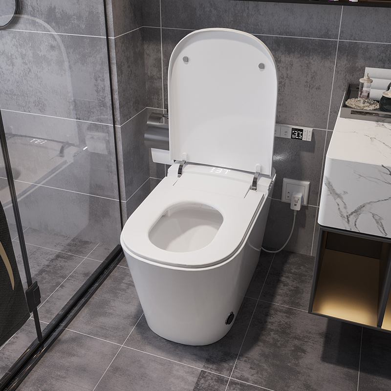 NAS06 Built-in Tank Smart Toilet