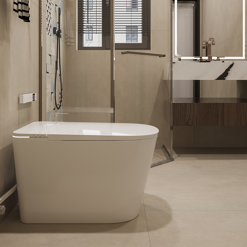 NAS06 Built-in Tank Smart Toilet 8