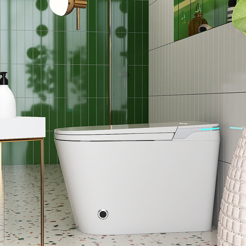 NAS07 Built-in Tank Smart Toilet