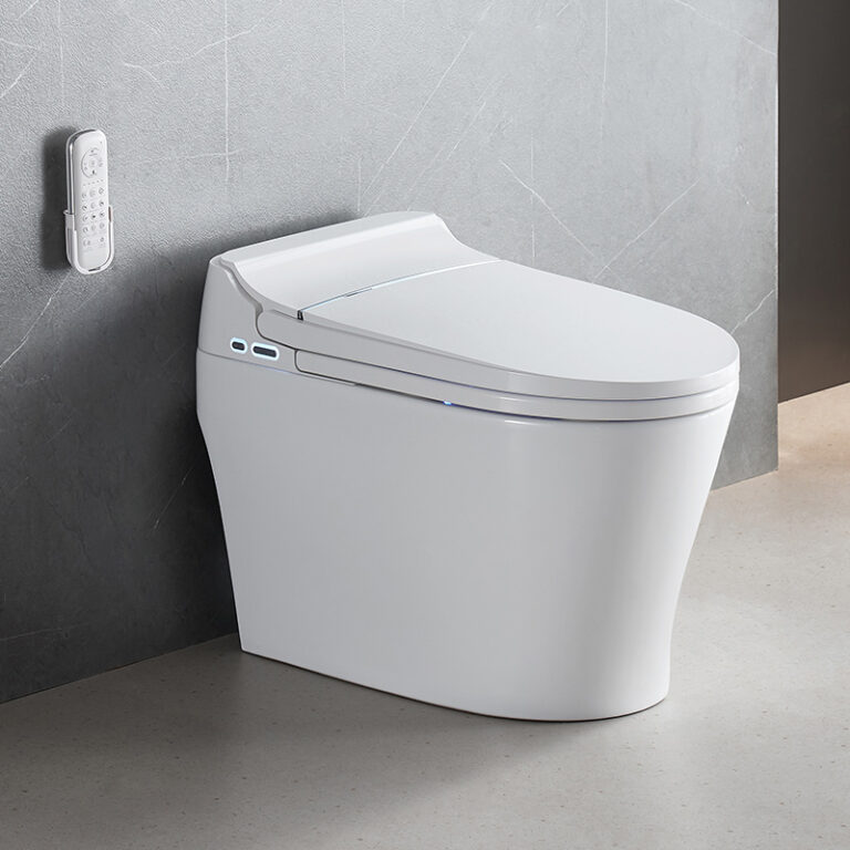 NAS10 Built-in Tank Smart Toilet
