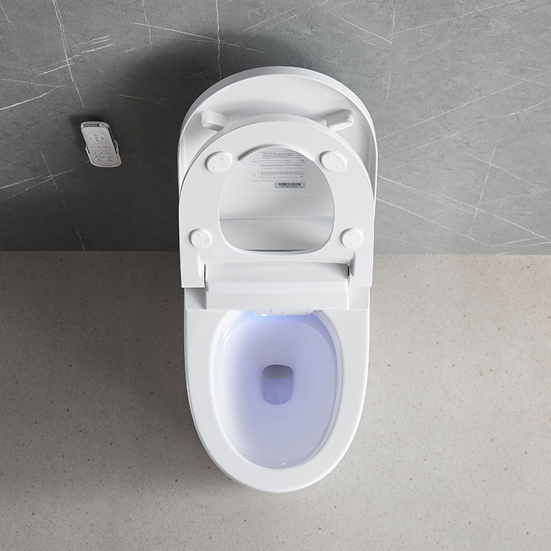 NAS10 Built-in Tank Smart Toilet