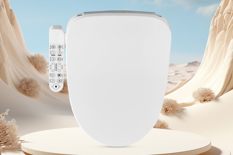 B315 Bidet Toilet Seat