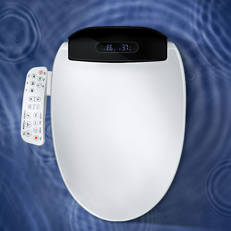 B516 Bidet Toilet Seat