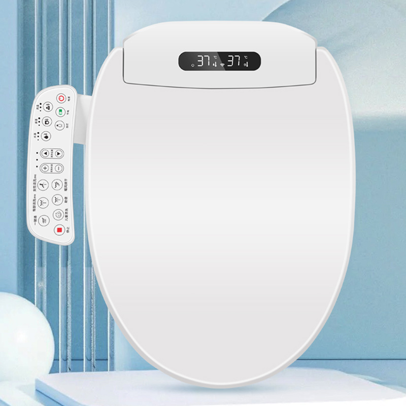 B516 Bidet Toilet Seat-2 B516 Bidet Toilet Seat