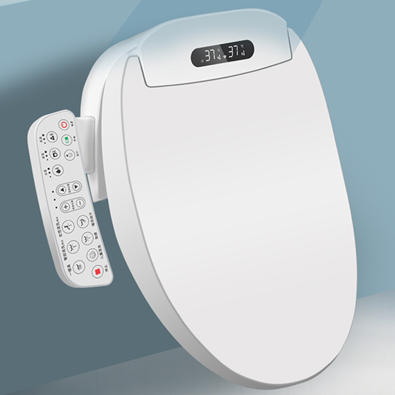 B516 Bidet Toilet Seat