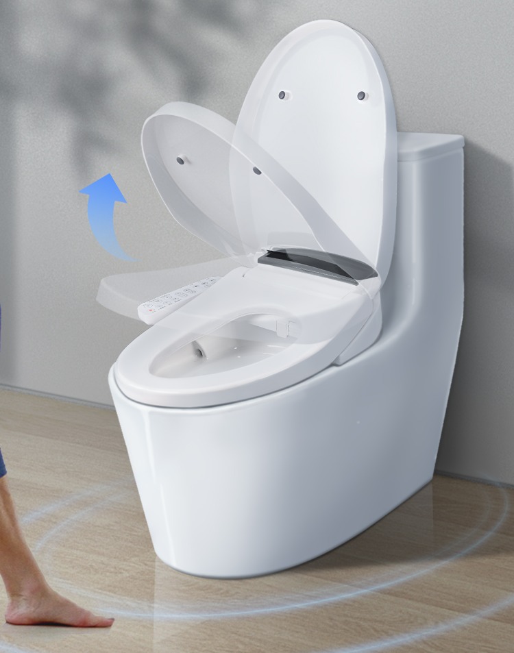 Bidet Toilet Seat