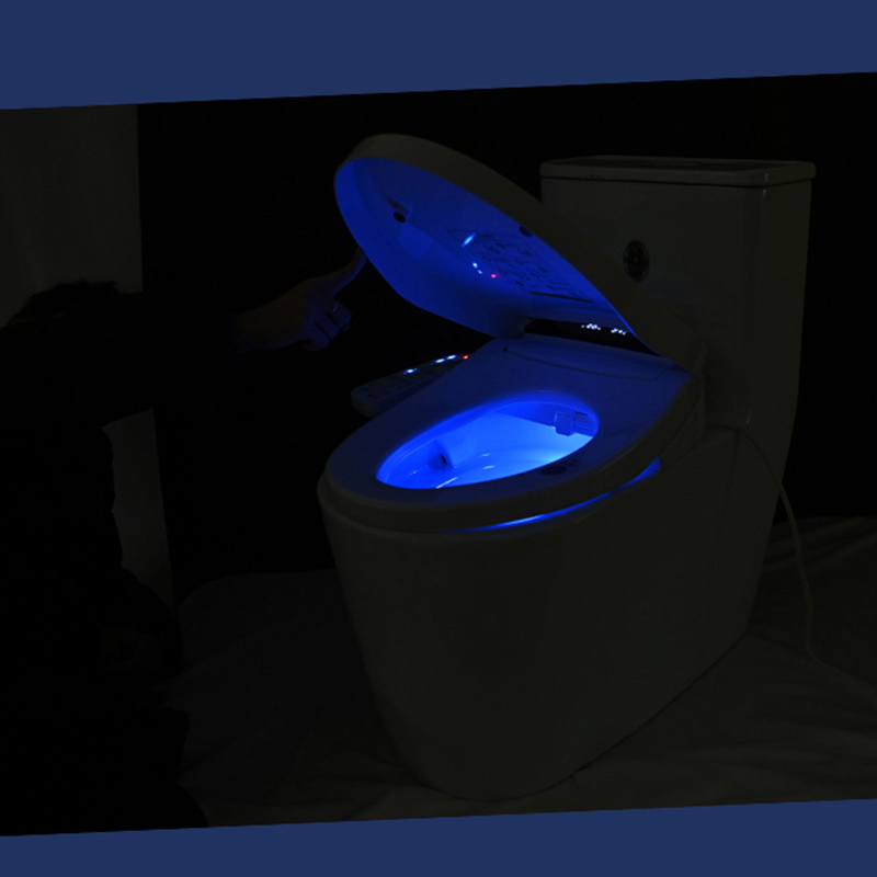 B518 Bidet Toilet Seat