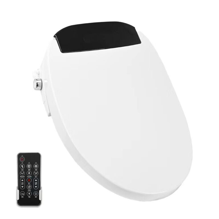 B518 Bidet Toilet Seat