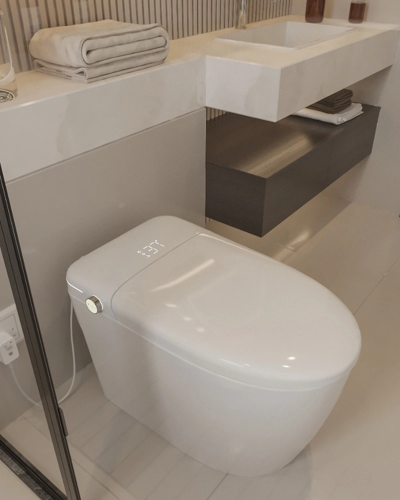 NAP17 Smart Toilet