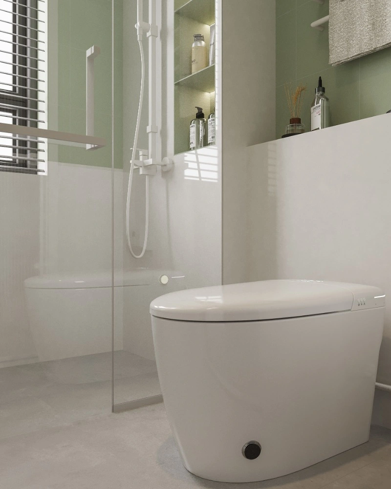 EUS01 Smart Toilet