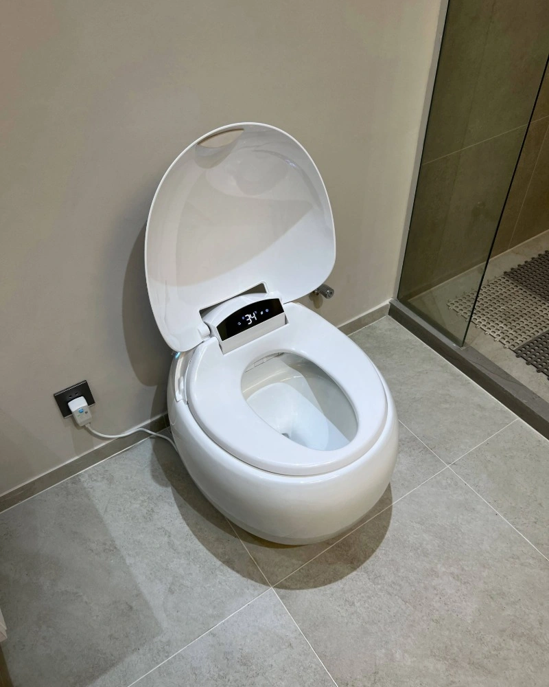 NAP17 Smart Toilet