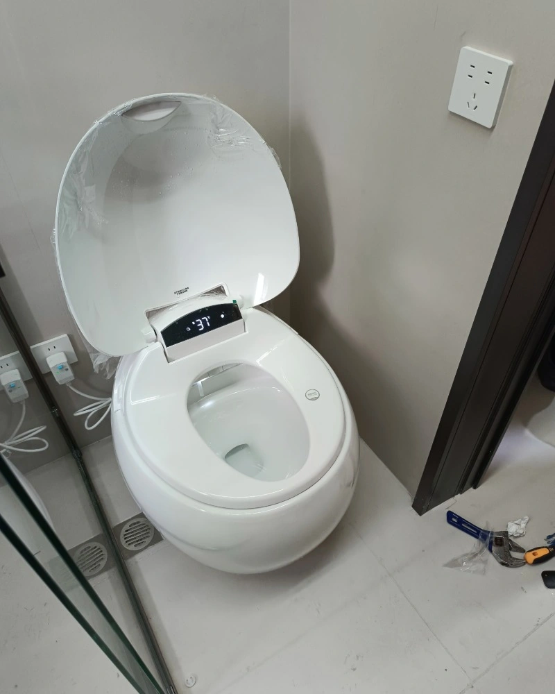NAP17 Smart Toilet