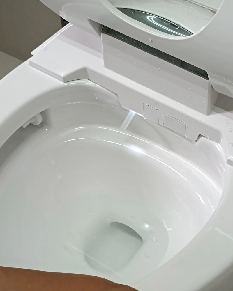 NAP17 Smart Toilet