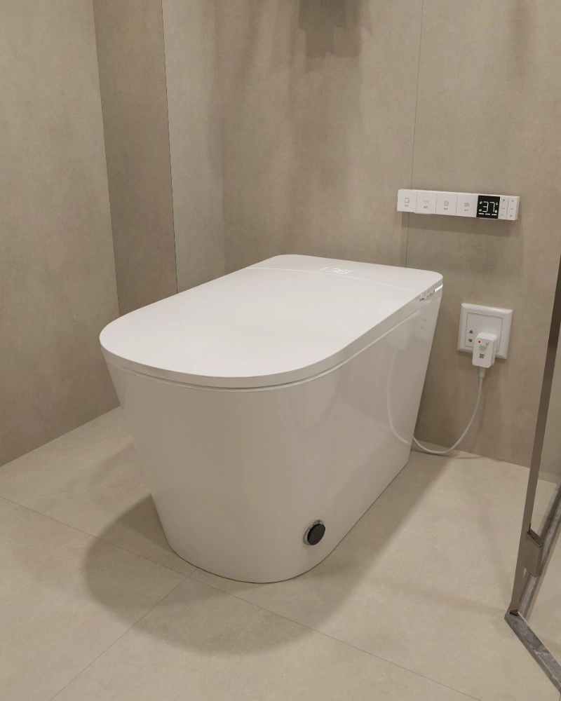 NAS06 Smart Toilet