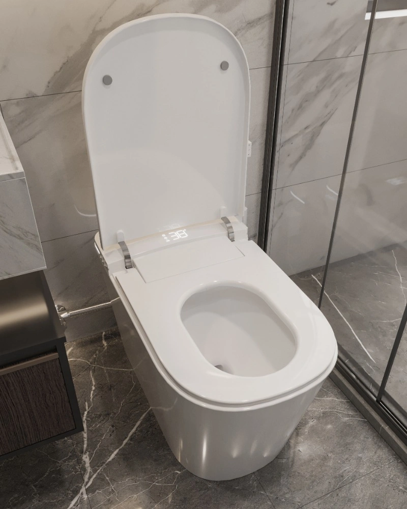 NAS06 Smart Toilet