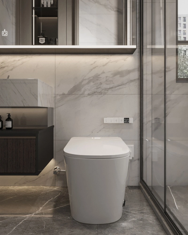 NAS06 Smart Toilet
