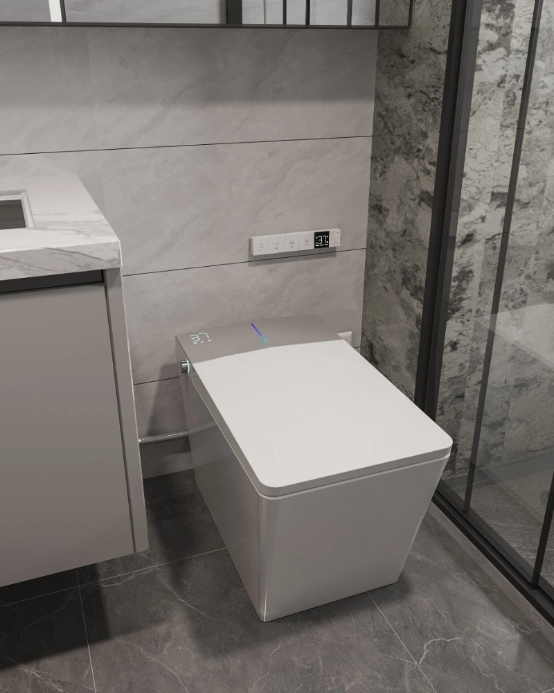 NAS09 Smart Toilet