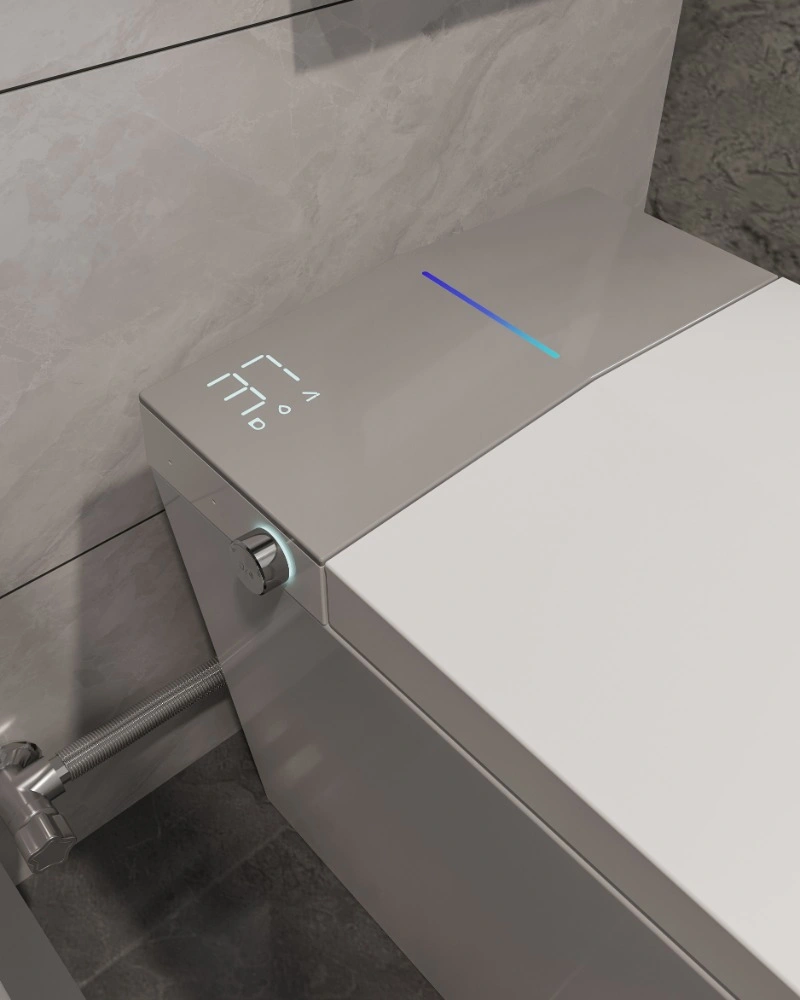 NAS09 Smart Toilet