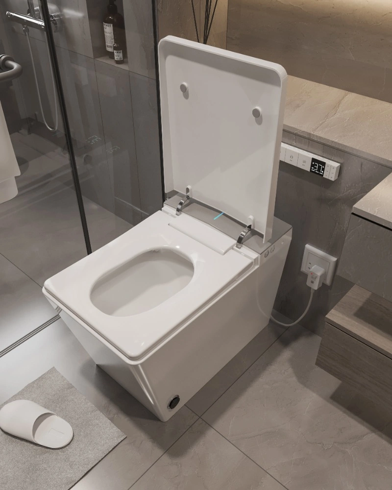NAS09 Smart Toilet