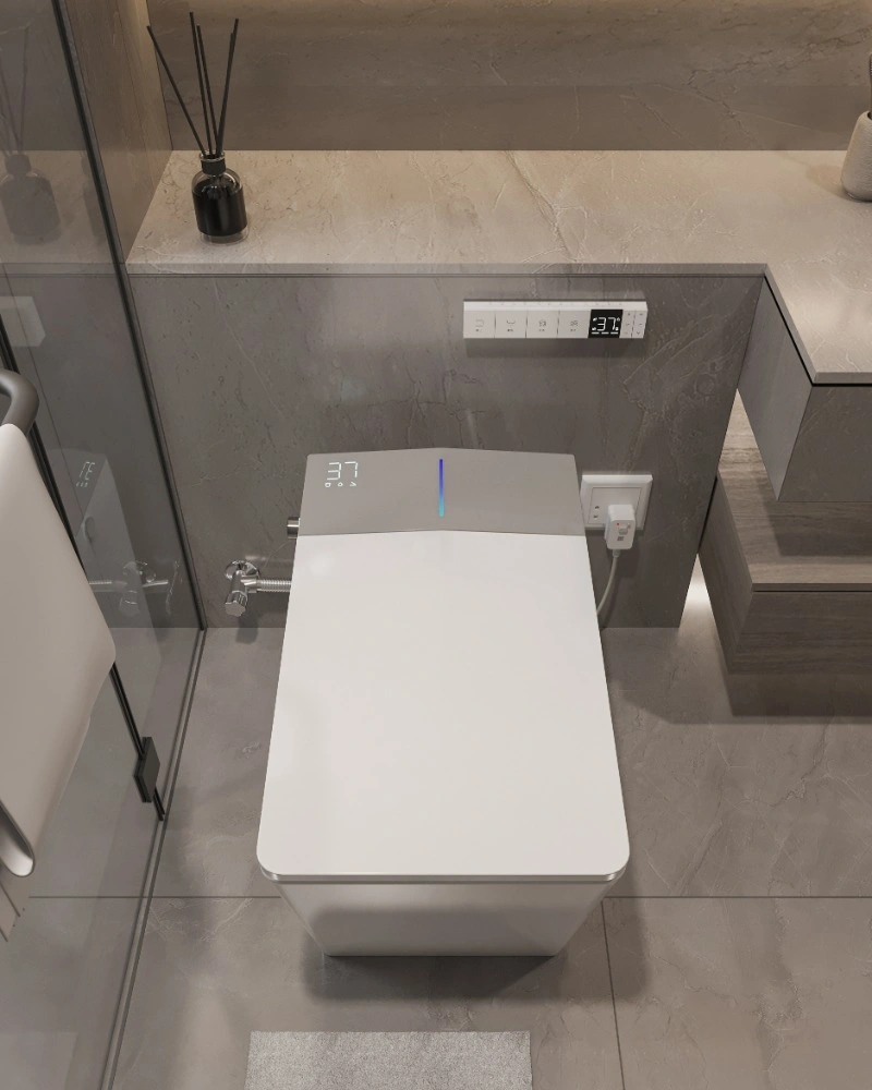 NAS09 Smart Toilet