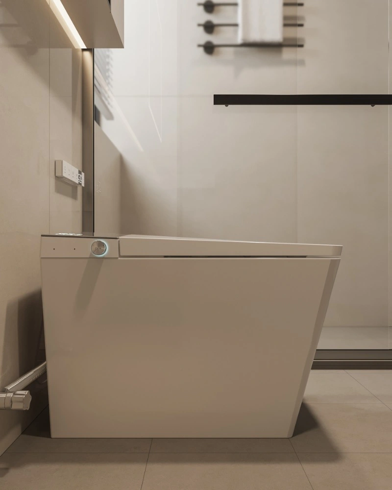 NAS09 Smart Toilet