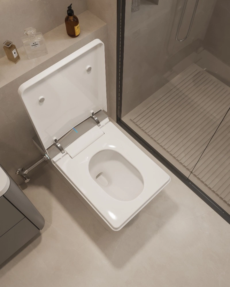 NAS09 Smart Toilet