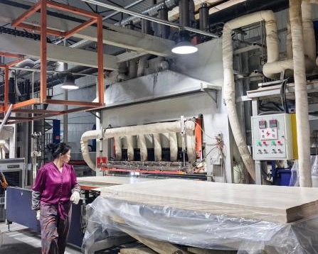 Panel Lamination & Surface Bonding